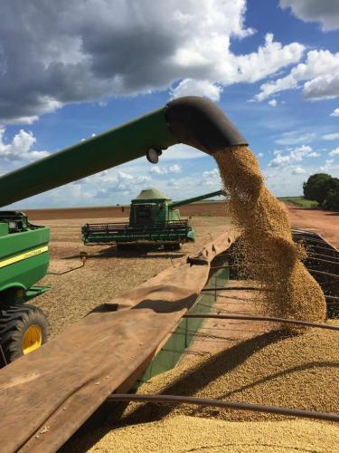 WhatsApp Image 2020-05-26 at 13.43.00