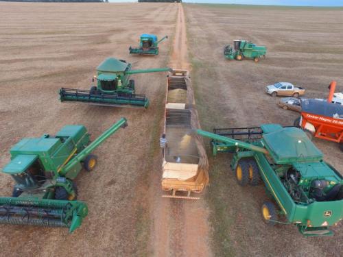 WhatsApp Image 2020-05-26 at 13.46.27 (1)